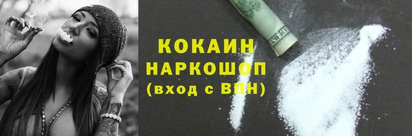 сатива Михайловка