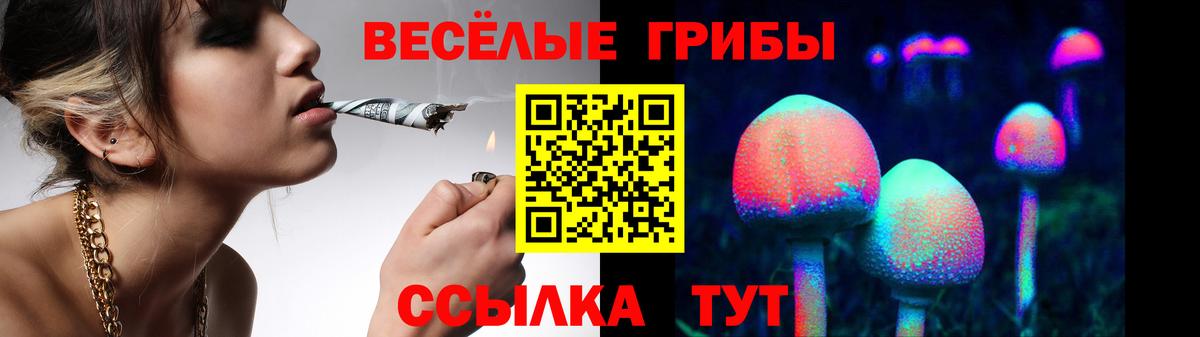 Приморско-Ахтарск  Псилоцибиновые грибы ЛСД  Вход с VPN 